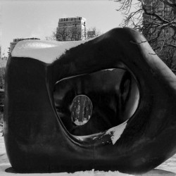 Two Large Forms at Grange Park 2